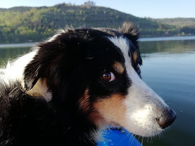 Rollentraining auf der Innerstetalsperre