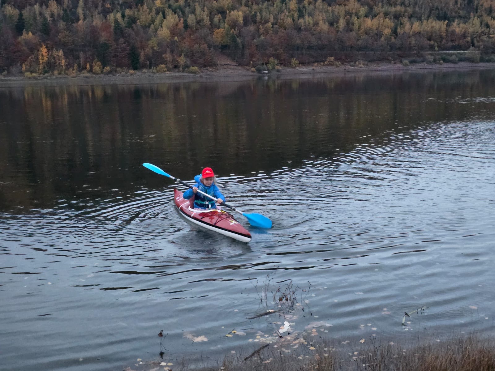 05 8f845c46 86d7 4999 b4e8 6288cafc920c