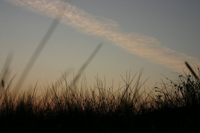 2009 Rudern bei Sonnenaufgang - 11